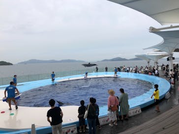 四国水族館に投稿された画像（2021/8/11）