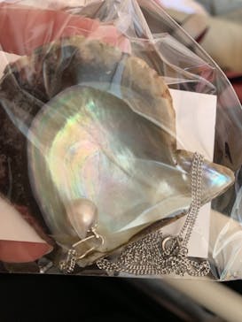 名古屋港水族館に投稿された画像（2021/8/11）