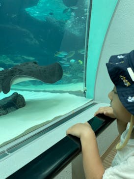 名古屋港水族館に投稿された画像（2021/8/11）