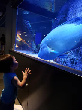 すみだ水族館に投稿された画像（2021/8/11）
