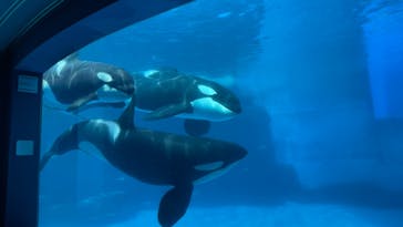 名古屋港水族館に投稿された画像（2021/8/11）