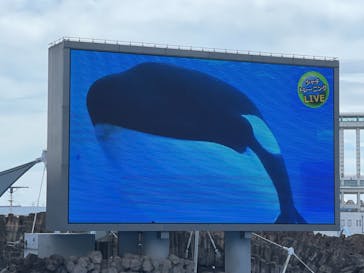 名古屋港水族館に投稿された画像（2021/8/11）