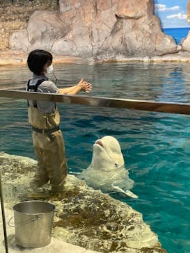 名古屋港水族館に投稿された画像（2021/8/11）