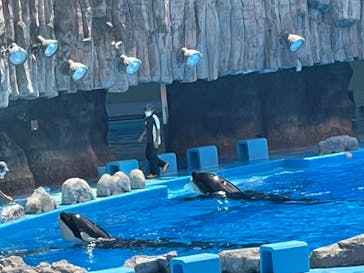 名古屋港水族館に投稿された画像（2021/8/11）