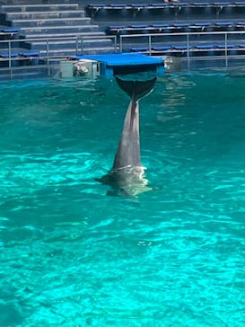 マクセル アクアパーク品川に投稿された画像（2021/8/11）