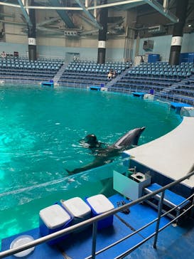 マクセル アクアパーク品川に投稿された画像（2021/8/11）