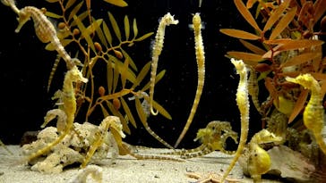 株式会社Gに投稿された画像（2021/8/11）