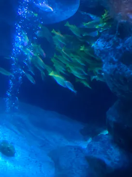 すみだ水族館に投稿された画像（2021/8/11）