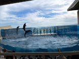 新江ノ島水族館に投稿された画像（2021/8/11）