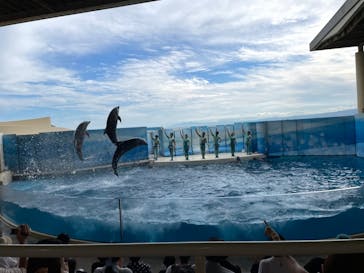 新江ノ島水族館に投稿された画像（2021/8/11）