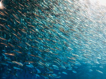 名古屋港水族館に投稿された画像（2021/8/11）