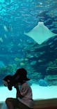 名古屋港水族館に投稿された画像（2021/8/11）