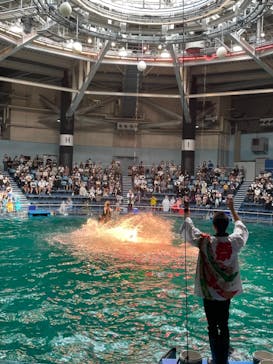 マクセル アクアパーク品川に投稿された画像（2021/8/11）