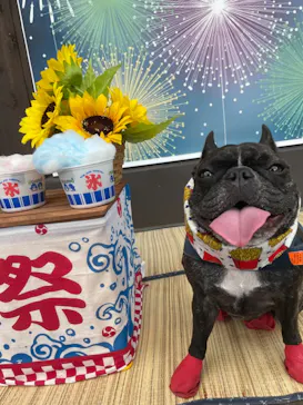 わんダフルネイチャーヴィレッジに投稿された画像（2021/8/11）