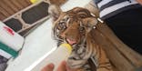 しろとり動物園に投稿された画像（2021/8/11）