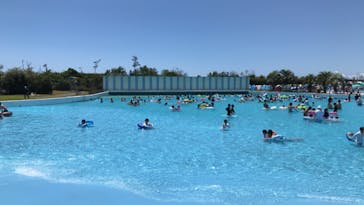 蓮沼ウォーターガーデンに投稿された画像（2021/8/11）