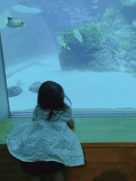 名古屋港水族館に投稿された画像（2021/8/11）