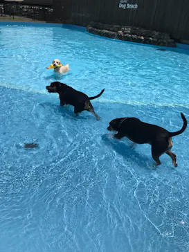 わんダフルネイチャーヴィレッジに投稿された画像（2021/8/11）