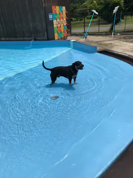 わんダフルネイチャーヴィレッジに投稿された画像（2021/8/11）