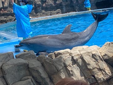 名古屋港水族館に投稿された画像（2021/8/11）