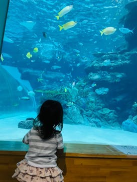名古屋港水族館に投稿された画像（2021/8/11）