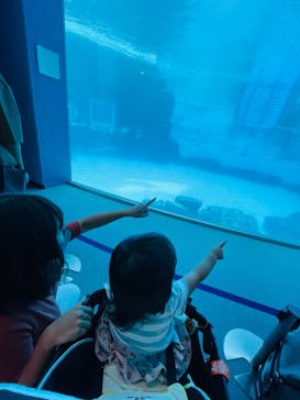 名古屋港水族館に投稿された画像（2021/8/11）