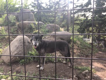 旭川市旭山動物園に投稿された画像（2021/8/11）