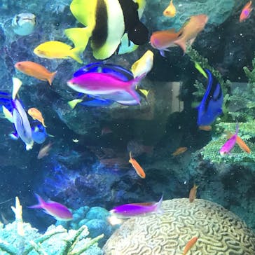 サンシャイン水族館に投稿された画像（2021/8/11）