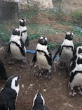 名古屋港水族館に投稿された画像（2021/8/11）