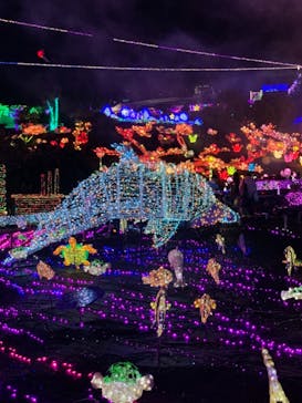 伊豆ぐらんぱる公園に投稿された画像（2021/8/11）