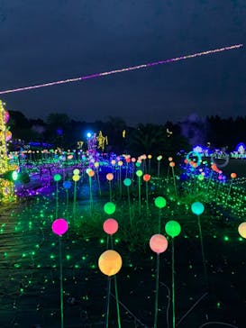 伊豆ぐらんぱる公園に投稿された画像（2021/8/11）