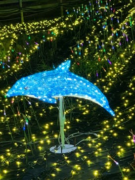 伊豆ぐらんぱる公園に投稿された画像（2021/8/11）