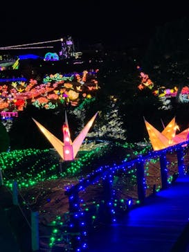 伊豆ぐらんぱる公園に投稿された画像（2021/8/11）