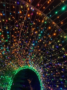 伊豆ぐらんぱる公園に投稿された画像（2021/8/11）