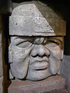 体感型動物園iZooに投稿された画像（2021/8/11）