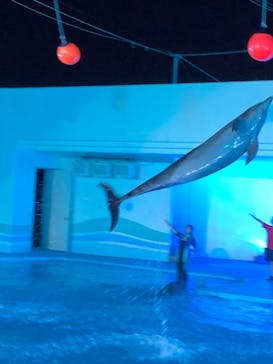 南知多ビーチランド＆南知多おもちゃ王国に投稿された画像（2021/8/11）