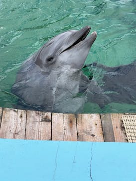 南知多ビーチランド＆南知多おもちゃ王国に投稿された画像（2021/8/11）