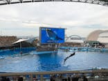 名古屋港水族館に投稿された画像（2021/8/11）