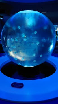 新江ノ島水族館に投稿された画像（2021/8/11）