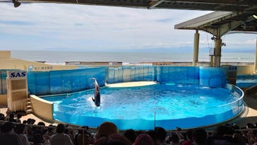 新江ノ島水族館に投稿された画像（2021/8/11）