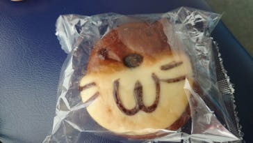 新江ノ島水族館に投稿された画像（2021/8/11）