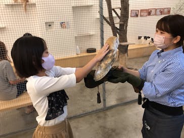 Moff アニマル カフェ イーアス 高尾店に投稿された画像（2021/8/11）