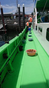 釣り船 進丸に投稿された画像（2021/8/11）