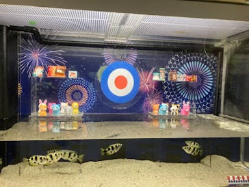 マクセル アクアパーク品川に投稿された画像（2021/8/11）