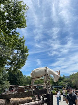 群馬サファリパークに投稿された画像（2021/8/11）