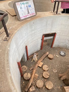 群馬サファリパークに投稿された画像（2021/8/11）