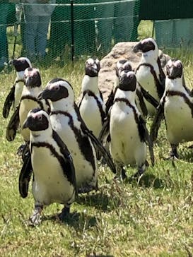 名古屋港水族館に投稿された画像（2021/8/11）