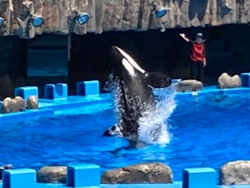 名古屋港水族館に投稿された画像（2021/8/11）