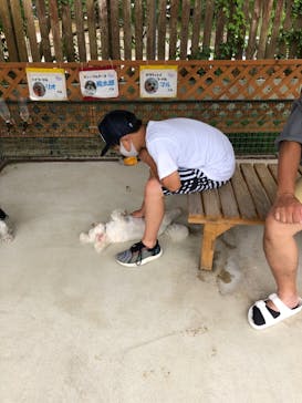 しろとり動物園に投稿された画像（2021/8/11）