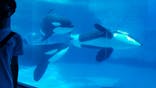 名古屋港水族館に投稿された画像（2021/8/12）